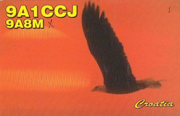 AK 210533 QSL - Croatia - Donji Miholjac - Amateurfunk