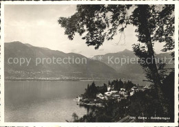 11654715 Gerra Locarno Lago Maggiore Gerra  - Sonstige & Ohne Zuordnung