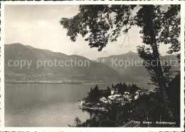 11654715 Gerra Locarno Lago Maggiore Gerra  - Autres & Non Classés