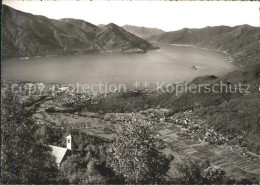 11654702 Monte Bre Lugano Vista Su Ascona Losone E Lago Maggiore Monte Bre Lugan - Autres & Non Classés