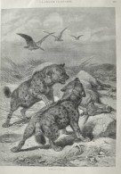 Hyänen - Page Originale 1888 - Prenten & Gravure