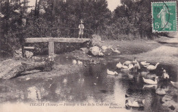 TREIGNY(CANARD) - Treigny