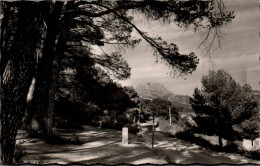 N°2052 W -cpsm Route Du Tholonet - Autres & Non Classés