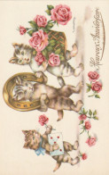  ***  CHATS *** CHATTS CHATONS  --  Par Illustrateur - Gougeon -- Fer à Cheval Roses TTBE  - Katzen