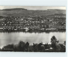 11654374 Meisterschwanden Panorama Hallwilersee Meisterschwanden - Altri & Non Classificati