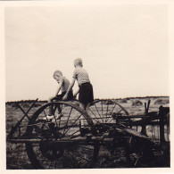 Altes Foto Vintage. Kinder Auf Einem Feld.um 1950.. (  B11  ) - Anonyme Personen