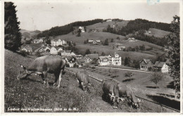 LACHEN BEI WALZENHAUSEN - Walzenhausen