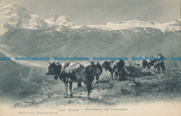 R012535 Zermatt. Hohbalmalp Und Theodulpass. Kilchberg. No 15823. B. Hopkins - World