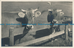 R012537 Old Postcard. Cows. Hans Gross. No 1846. B. Hopkins - World