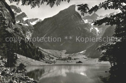 11654156 Seealpsee Mit Altmann Rossmad Saentis Bergsee Appenzeller Alpen Seealps - Sonstige & Ohne Zuordnung