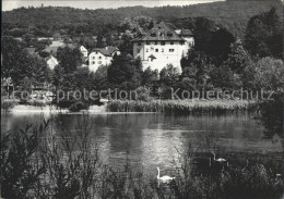 11654093 Biberstein Partie An Der Aare Schwan Schloss Biberstein - Autres & Non Classés