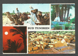 SUD TUNISIEN - SOUTH TUNISIA - TUNISIA - - Tunesië