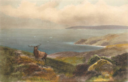 Scenic Postcard Scotland Portock Bay Weir Stag - Altri & Non Classificati