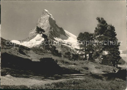 11654021 Zermatt VS Riffelalp Matterhorn Walliser Alpen  - Autres & Non Classés