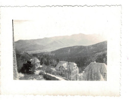 Ref 1 - Photo : La Chaine Des Hautes Vosges Et Vallée De Munster ,Trois-Epis - France . - Europa