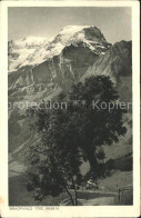 11653592 Braunwald GL Toedi Braunwald - Other & Unclassified