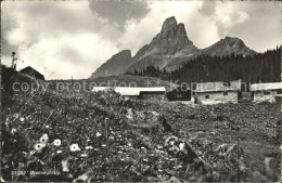 11653539 Braunwald GL Alp Braunwald - Autres & Non Classés