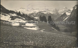 11653521 Toedi Grossberg Krocuswiese Toedigruppe Toedi - Sonstige & Ohne Zuordnung