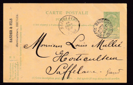 232/41 - Entier Carte Postale BRUGES Station 1909 Vers SAFFELAERE - Repiquage Sander § Fils, Horticulteurs à BRUGES - Briefkaarten 1871-1909