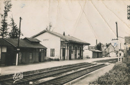 50.n° 25283. Pont Hebert . La Gare. Carte Postale Photo. Cpsm . - Other & Unclassified