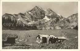 11653341 Glarus GL Braechalp Oberstaffel Mit Ortstock Kuehe Glarus - Otros & Sin Clasificación