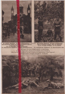 Oorlog Guerre 14/18 - Pordenone Pordenono - Overwinnaars, Vainqueurs - Orig. Knipsel Coupure Tijdschrift Magazine - 1917 - Ohne Zuordnung