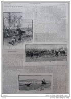 L´élevage Du Bétail En Amérique  - Page Original 1888  ( 1 ) - Documenti Storici