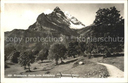 11653229 Braunwald GL Partie Beim Hueftenberg Braunwald - Andere & Zonder Classificatie