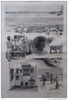 Massouah, Vu De La Rade - Buffles Sur La Digue - Chamelier Abyssin - Page Original 1888 - Documents Historiques