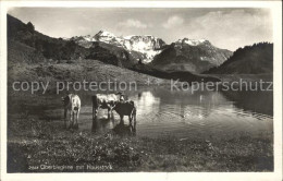 11653203 Oberblegisee Mit Hausstock Kuehe Im See Luchsingen - Andere & Zonder Classificatie