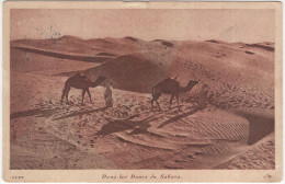 1122   Dans Les Dunes Du Sahara.  - (l'Algérie) - 1928 - Oran