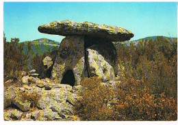 34   LODEVE  DOLMEN DE  GRAMMONT - Lodeve