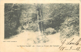 83 - LA SAINTE BAUME - DANS LA FORET (LE CANAPE) - Phot. Lacour - 481 - Autres & Non Classés