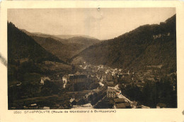 25 - SAINT HIPPOLYTE - ROUTE DE MONTBELIARD - Saint Hippolyte