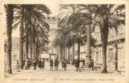 83 - TOULON - ALLEE DES PALMIERS - Toulon