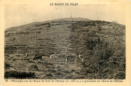 42 - MASSIF DU PILAT - Other & Unclassified