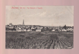 CPA - 21 - Meursault - Vue Générale Et Vignoble - Circulée En 1909 - Meursault