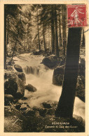 88 - GERARDMER - CASCADE DU SAUT DES CUVES - Gerardmer