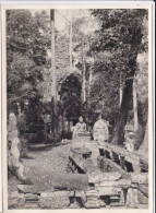 Photo De Particulier  INDOCHINE  CAMBODGE  ANGKOR THOM  Art Khmer Temple  Statues A Situer & Identifier Réf 30354 - Asia