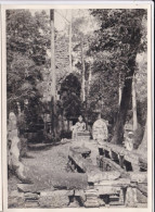 Photo De Particulier  INDOCHINE  CAMBODGE  ANGKOR THOM  Art Khmer Temple  Statues A Situer & Identifier Réf 30254 - Asia