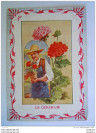 Chromo Fleurs Bloemen Le Géranium Librairie Hachette Paris - Sonstige & Ohne Zuordnung