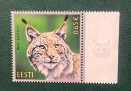 Estonia 2017 - Estonian Fauna - Eurasian Lynx. - Estonia