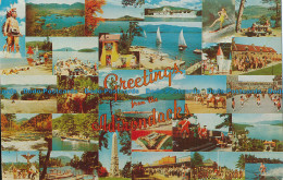 R012685 Greetings From The Adirondacks. Multi View. Dexter Press - Welt