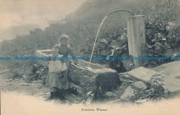 R012688 Frisches Wasser. Chr. Meisser. 1903. B. Hopkins - Welt