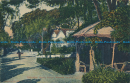 R012698 Gibraltar. Rustic Arbour. Alameda Gardens. Purger. B. Hopkins - Welt