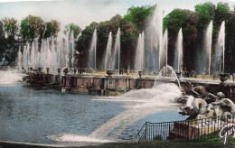 FRANCE - Versailles - Au Bassin De Neptune - Colorisé - Animé - Carte Postale - Versailles