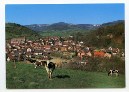 ORBEY - Vue Générale - Eglise Saint-Urbain - Vue De La Vallée - Orbey