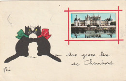  ***  CHATS *** CHATTS CHATONS  --  René --- Grosse Bise  De Chambord -- TTB Neuve - Chambord