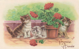  ***  CHATS *** CHATTS CHATONS  --  Par Illustrateur   JOB  --  Chatons Et Fleurs  N° 3350  TTB écrite  - Katzen