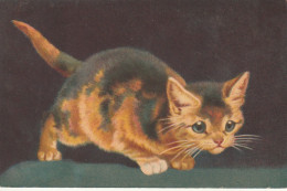 ***  CHATS *** CHATTS CHATONS  --  Par Illustrateur   N° 608 Wendu Pastell Timbrée TTB  - Cats